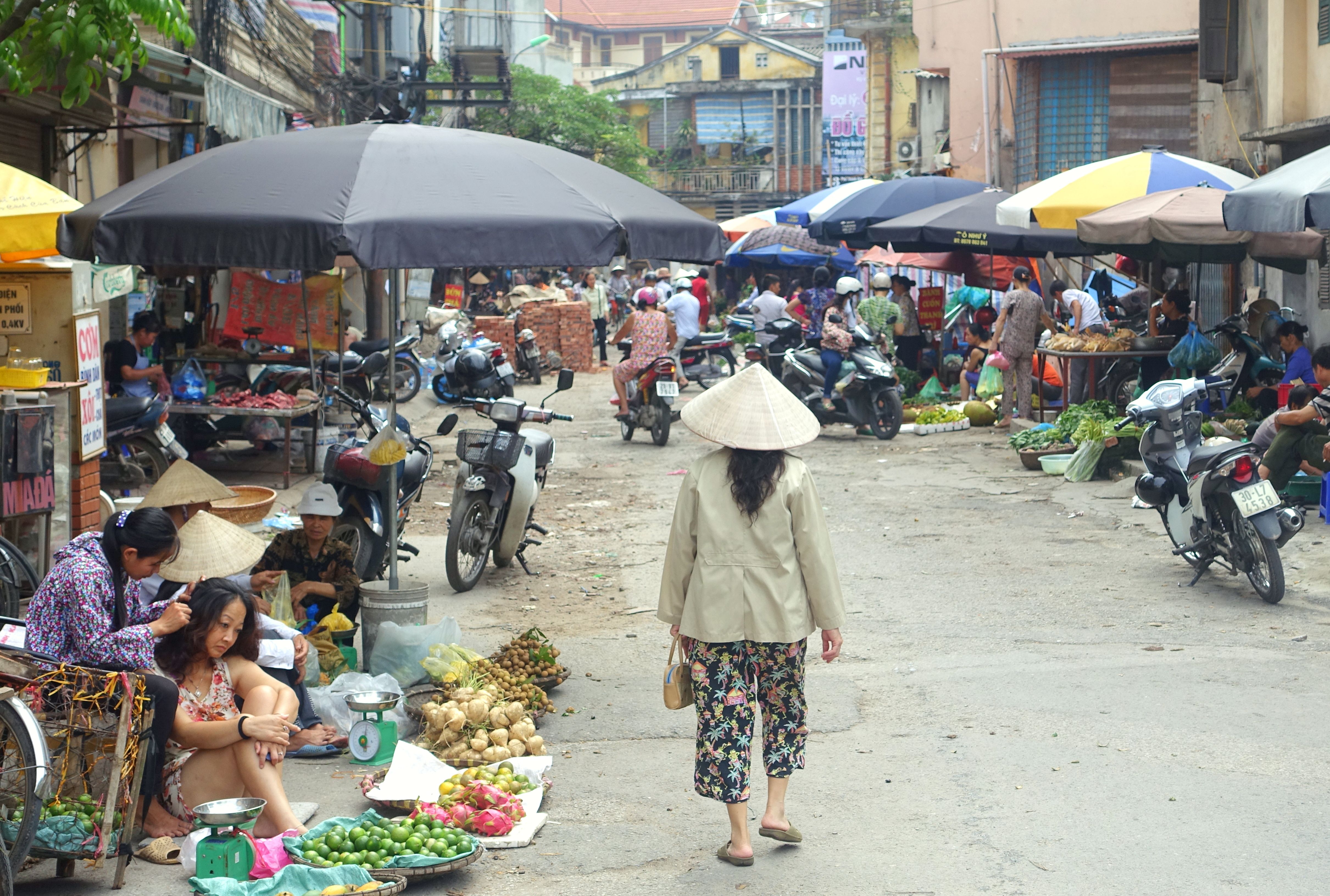 Vietnam A Feast for the Senses (image credits: wikimedia)