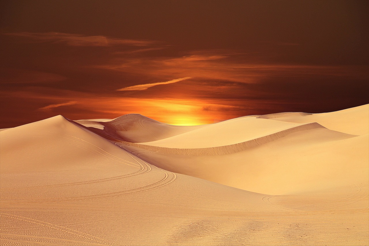 The Surreal Sights and Sounds (image credits: pixabay)