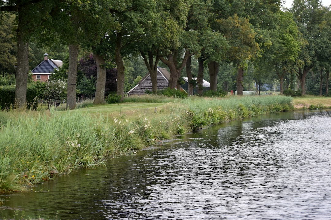 Netherlands: A Land of Dikes at Risk (image credits: unsplash)
