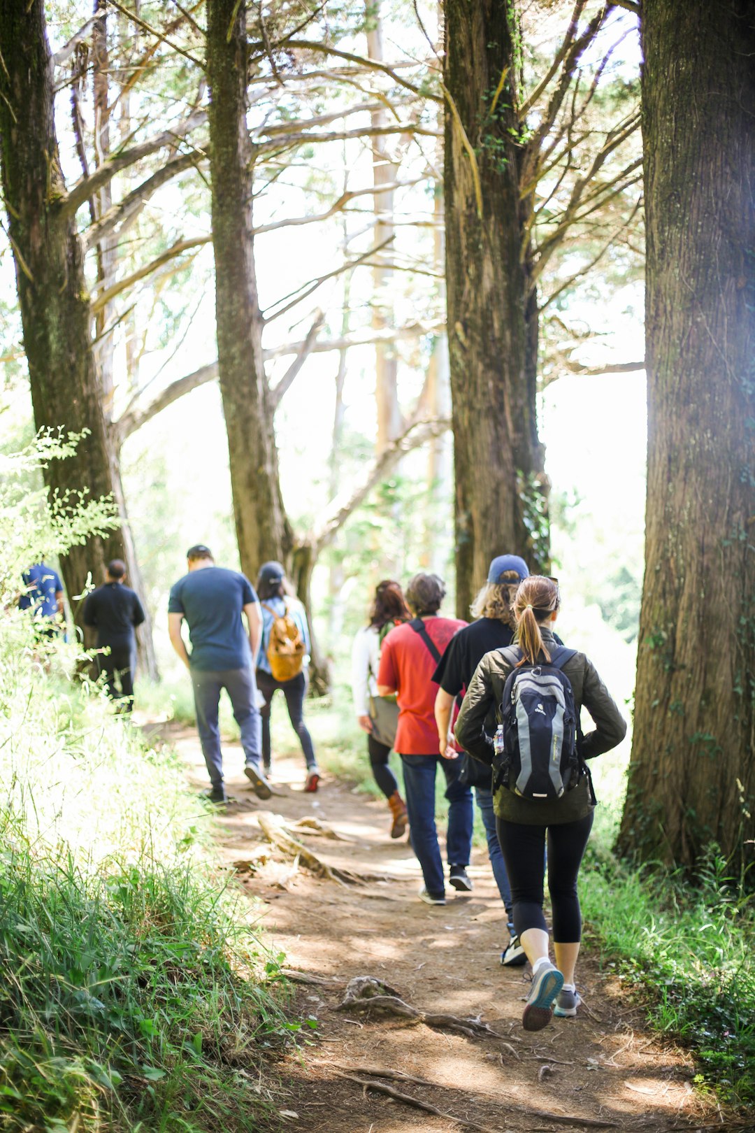 The Role of Community and Social Connection (image credits: unsplash)