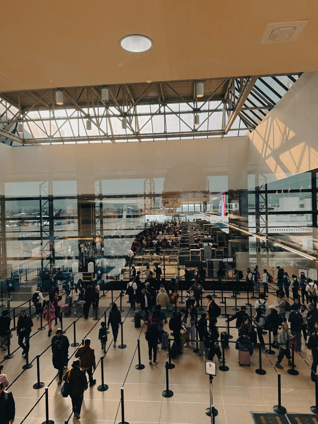 Unexpected Bans: The Curious Case of Certain Everyday Items (image credits: unsplash)