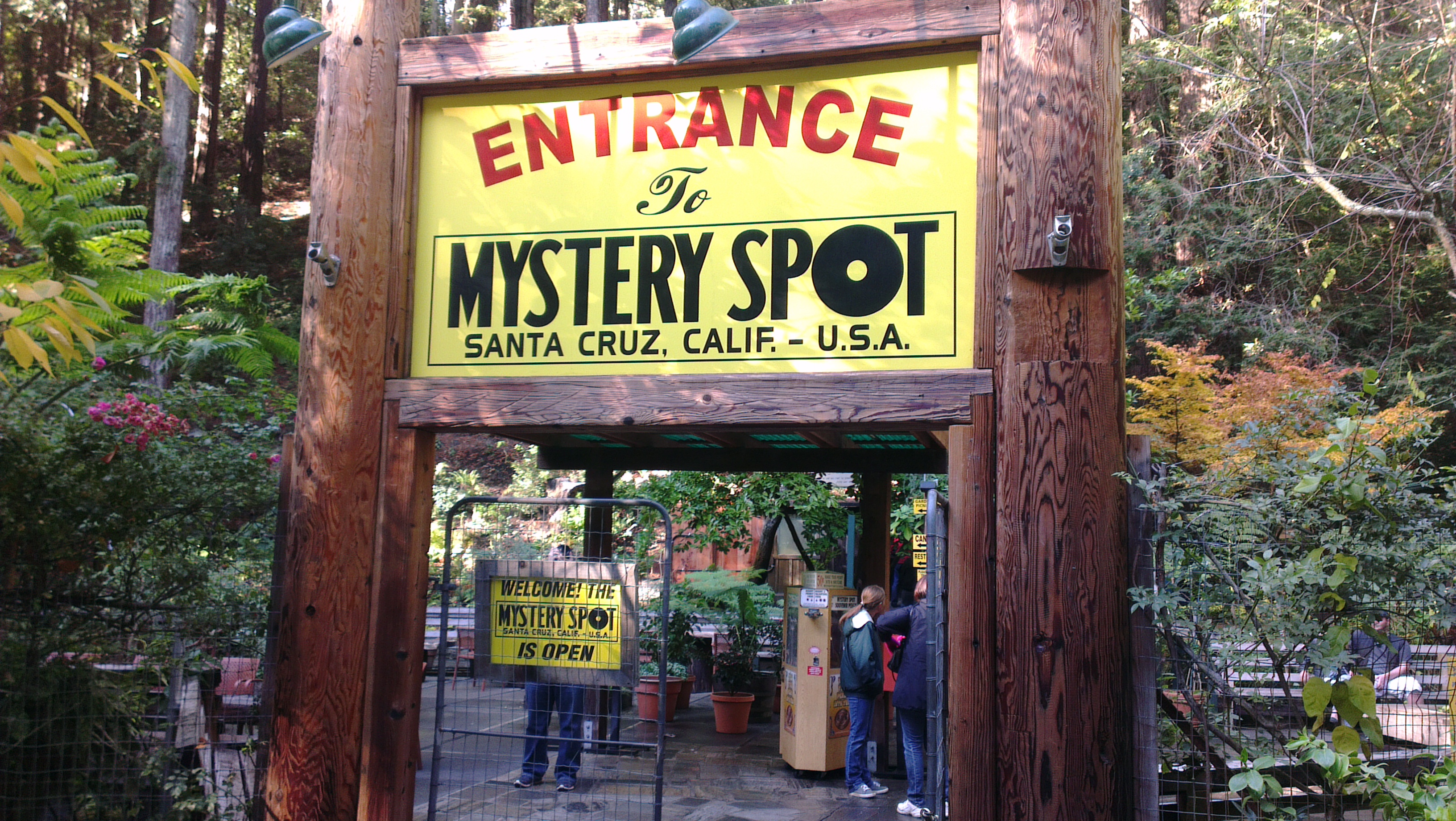 The Mystery Spot, California (image credits: wikimedia)