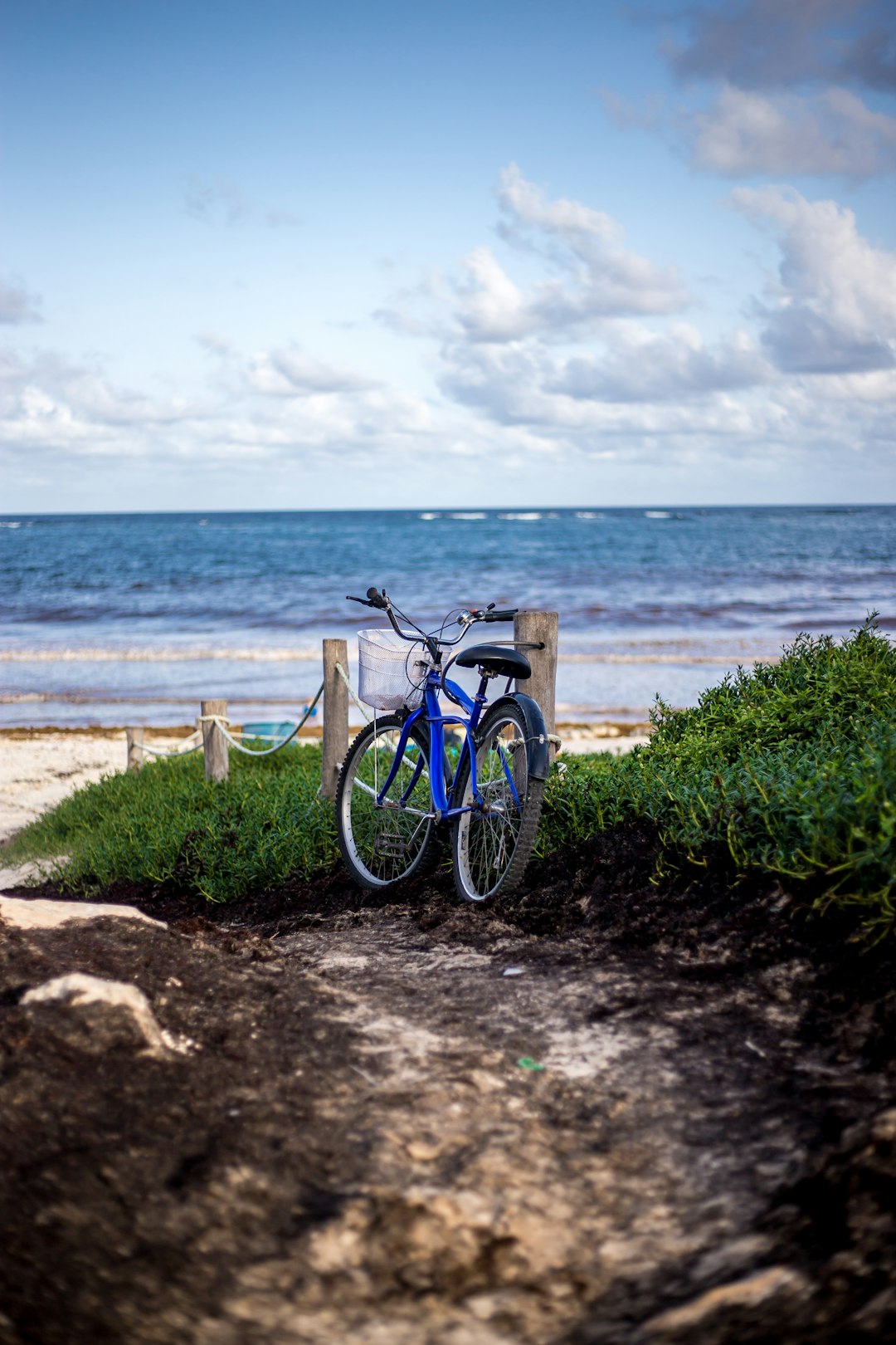 Transportation and Accessibility (image credits: unsplash)