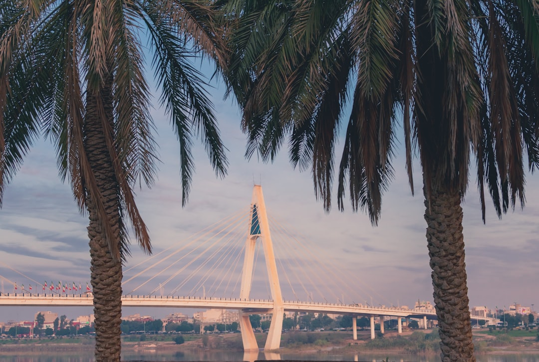 Iran: Desert Days and Sizzling Cities (image credits: unsplash)
