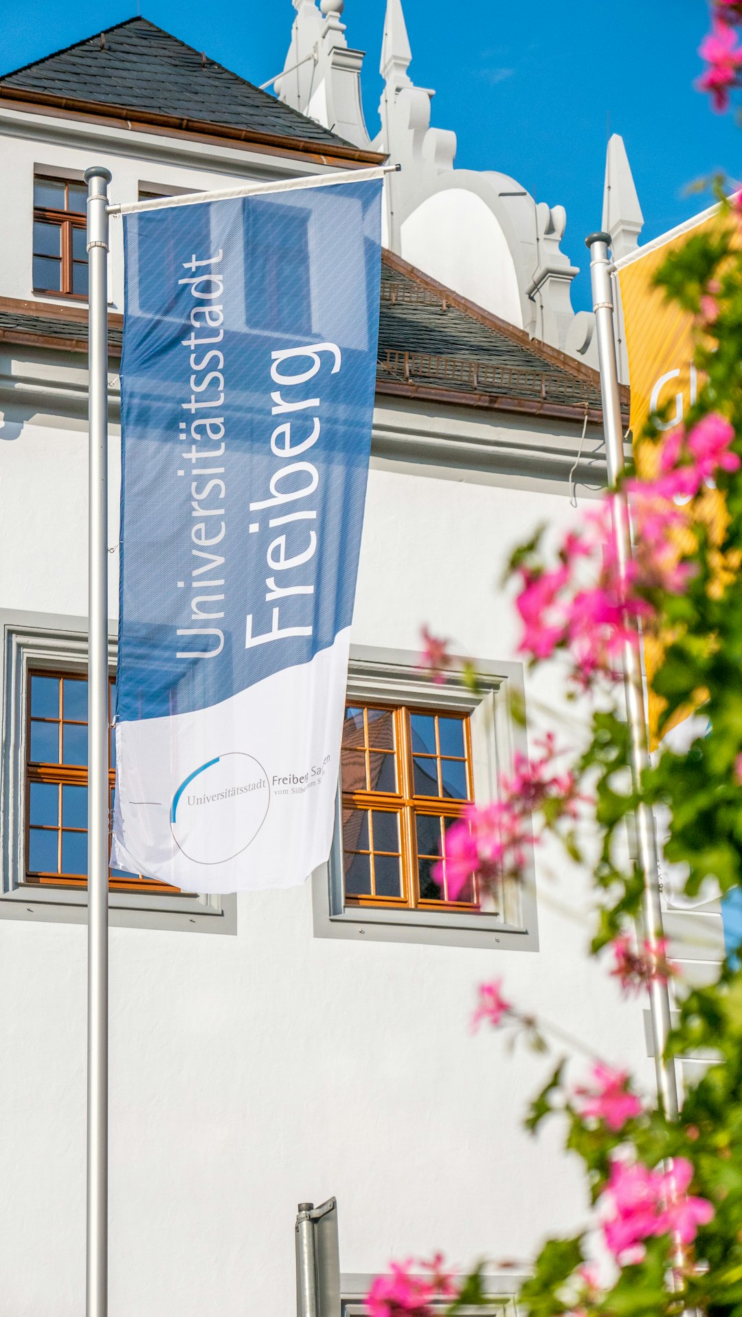 Germany: Tuition-Free Education for All (image credits: unsplash)