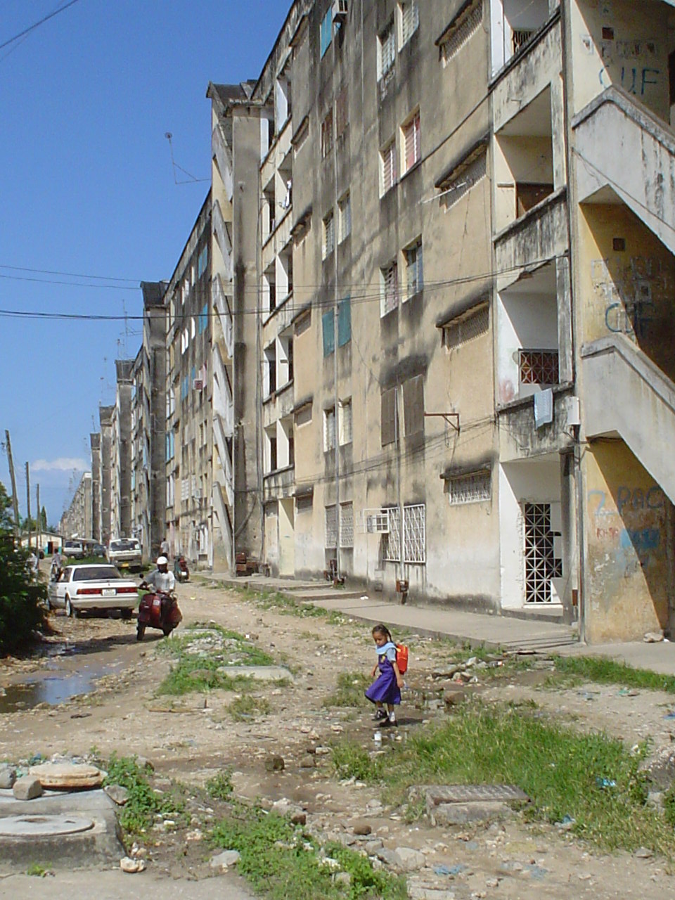 Decades of Decay: Nature and Neglect Take Hold (image credits: wikimedia)