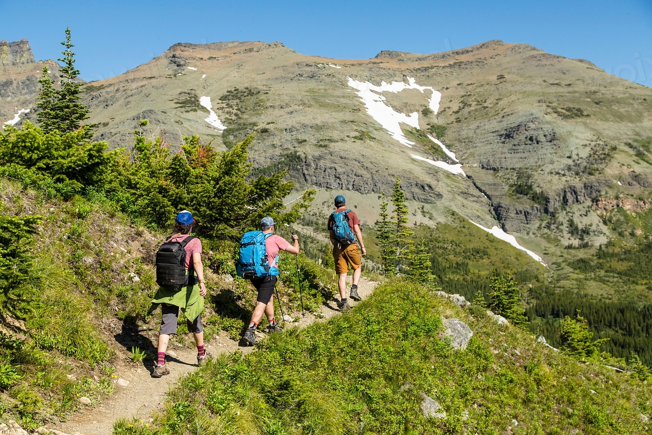 5. Participate in Eco-Tourism Activities (image credits: rawpixel)