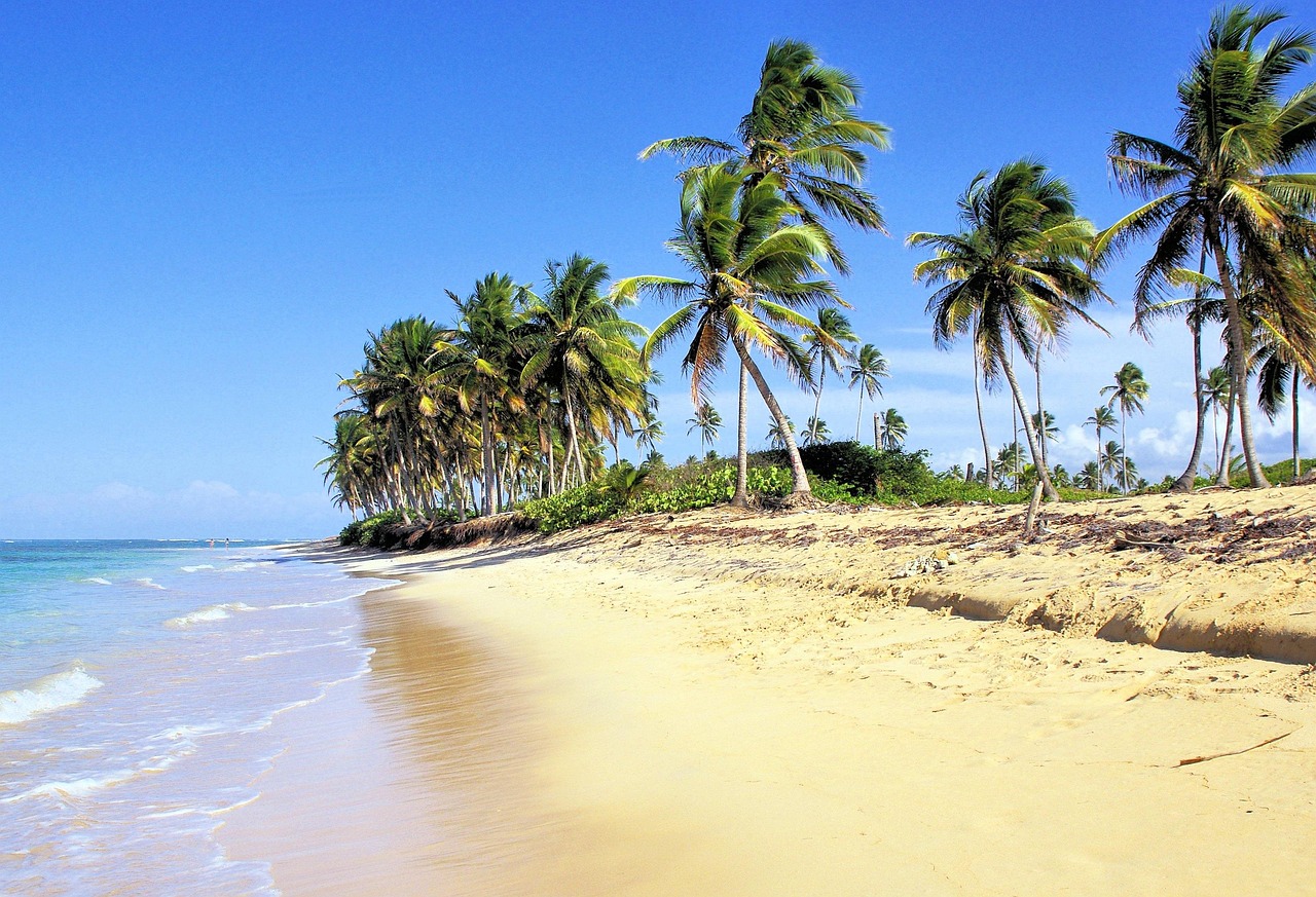 The Caribbean Hidden Dangers (image credits: pixabay)