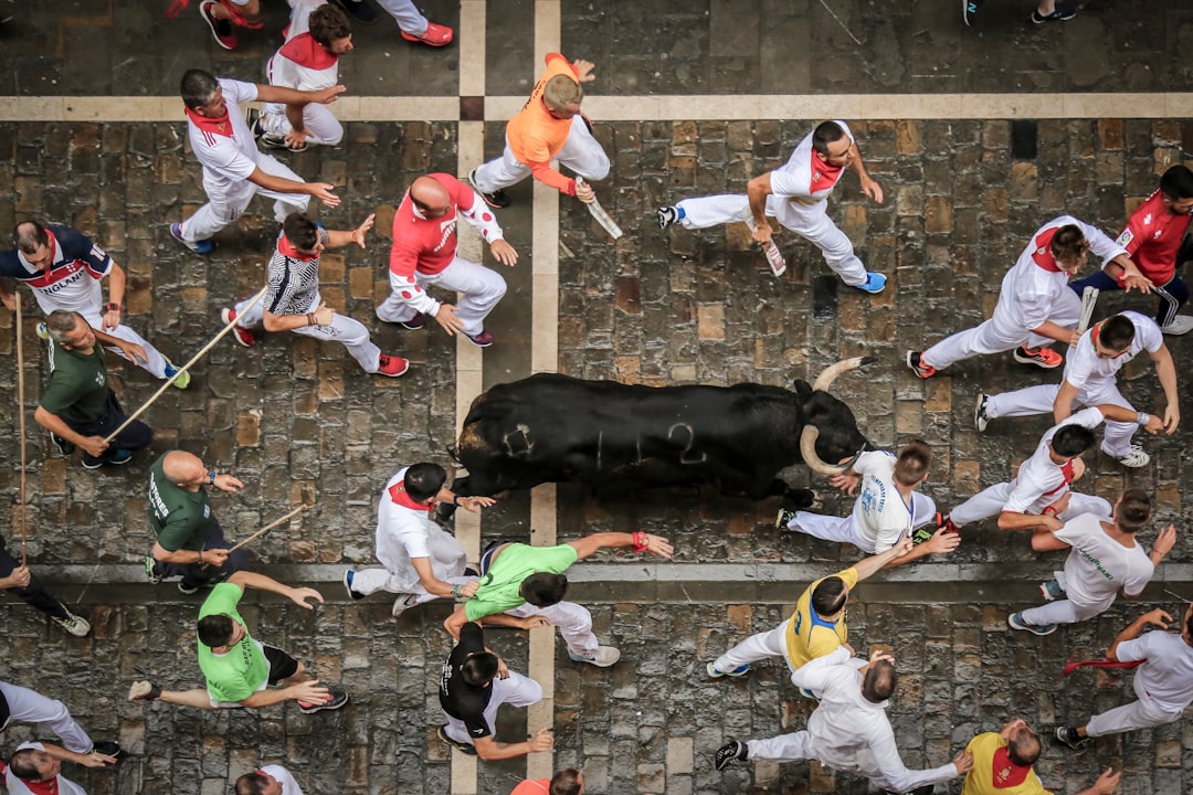 Running of the Bulls in Pamplona, Spain (image credits: unsplash)
