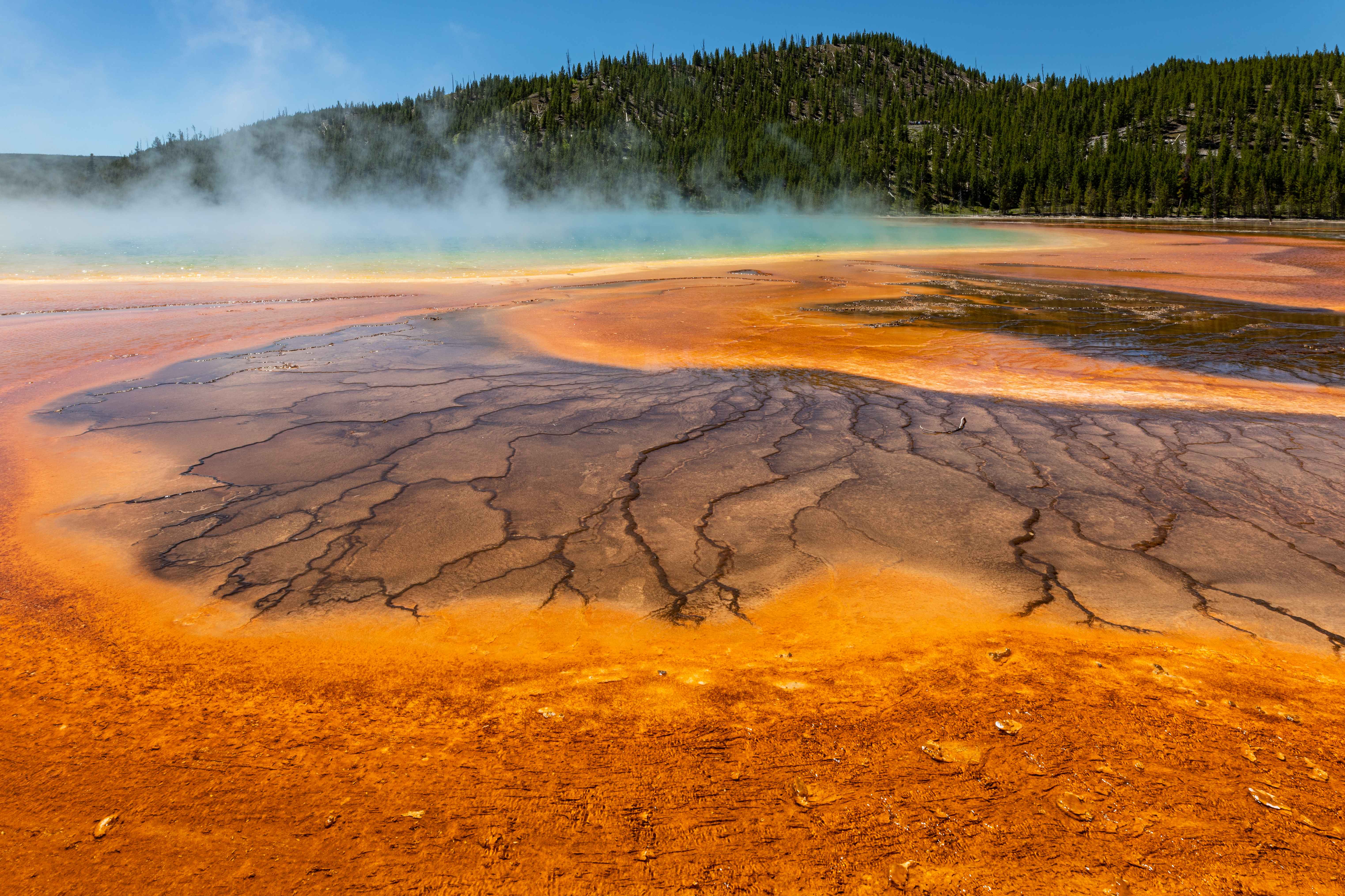 2. Yellowstone National Park, Wyoming, Montana & Idaho: Nature’s Comeback (image credits: wikimedia)
