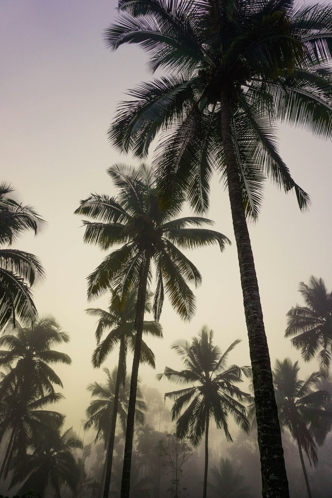 Gastronomy in the Desert: Culinary Innovation and Local Flavors (image credits: unsplash)