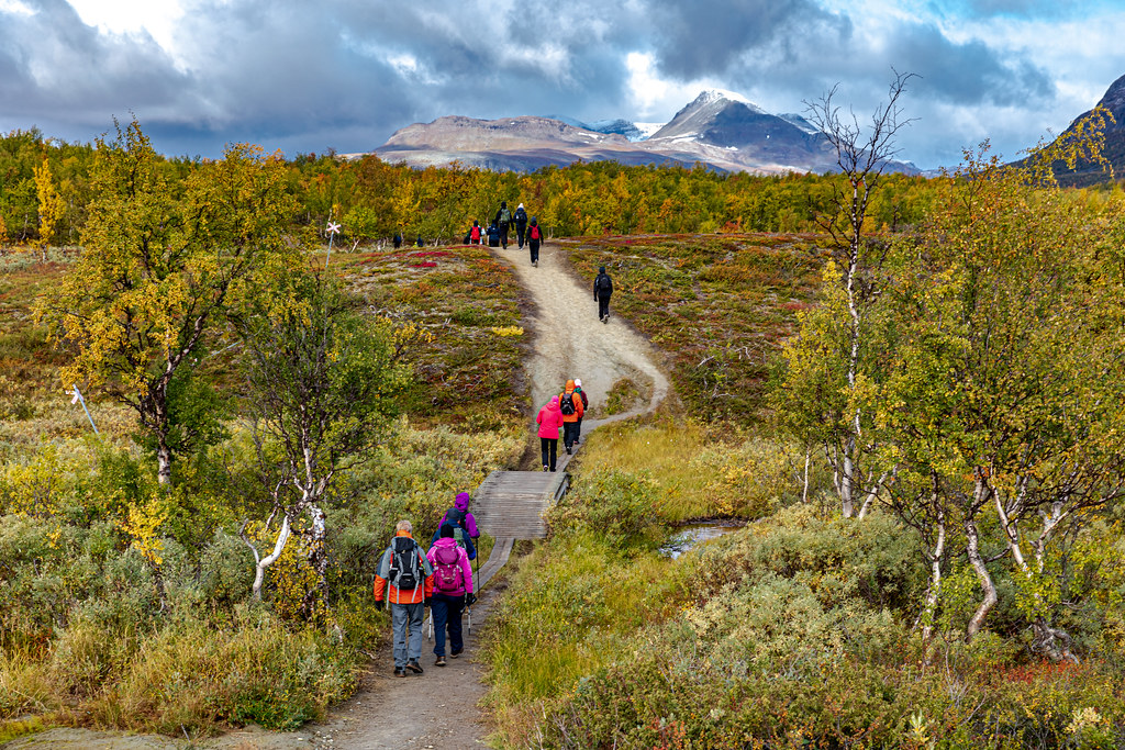 Norway: Fjords, Forests, and the Healing Power of Nature (image credits: flickr)
