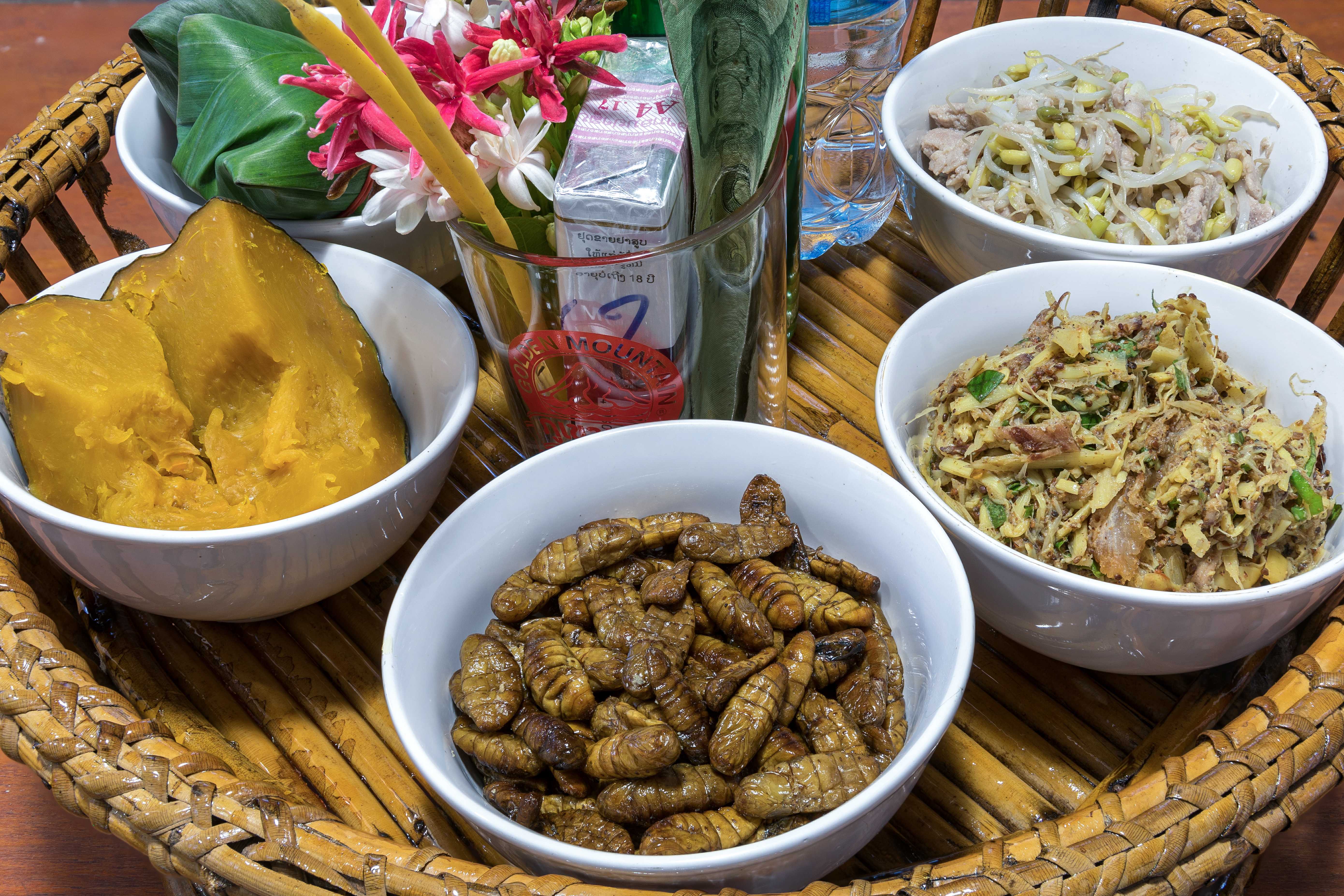 Bee Pupae Skewers: A Rare Treat With a Cult Following (image credits: wikimedia)