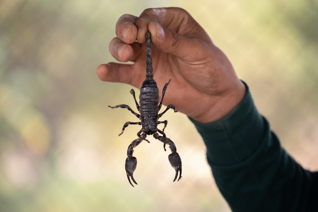 Live Animals and Insects (image credits: unsplash)