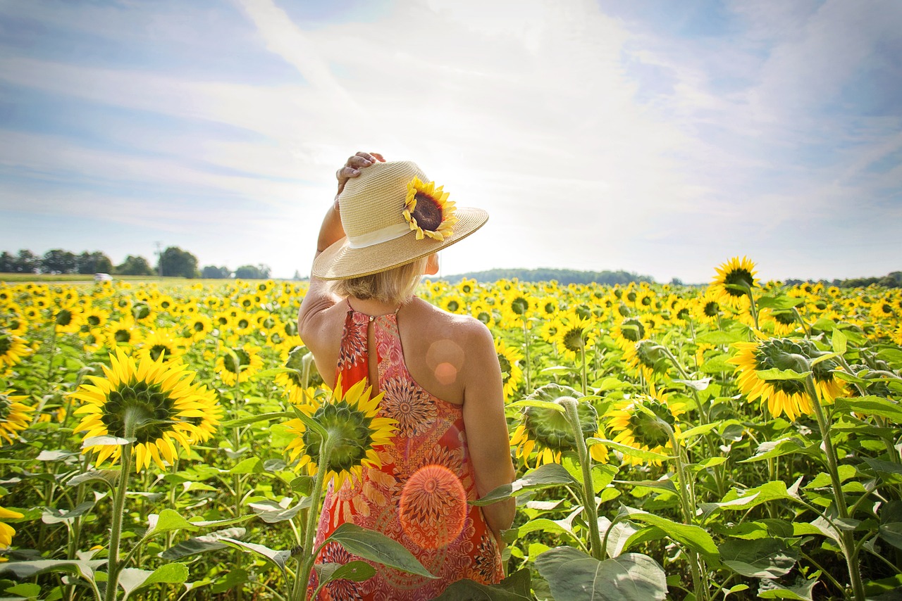 How Trump’s Tariffs Could Reshape Summer Travel (image credits: pixabay)