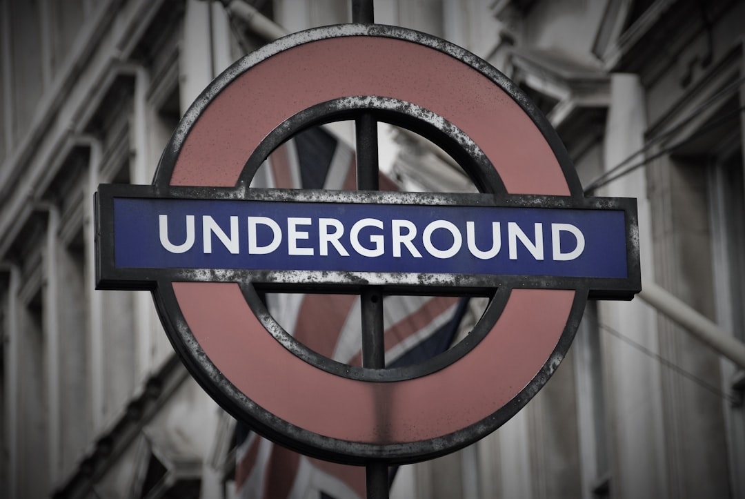 10. The Underground Resistance: A Glimpse of Hope (image credits: unsplash)
