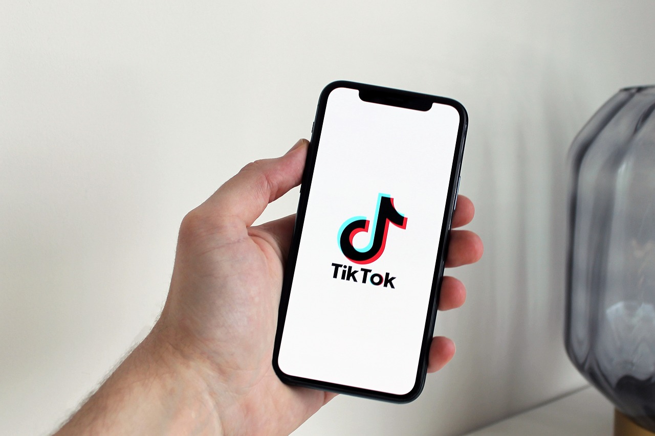 The Rise of TikTok and Its Influence on Travel (image credits: pixabay)