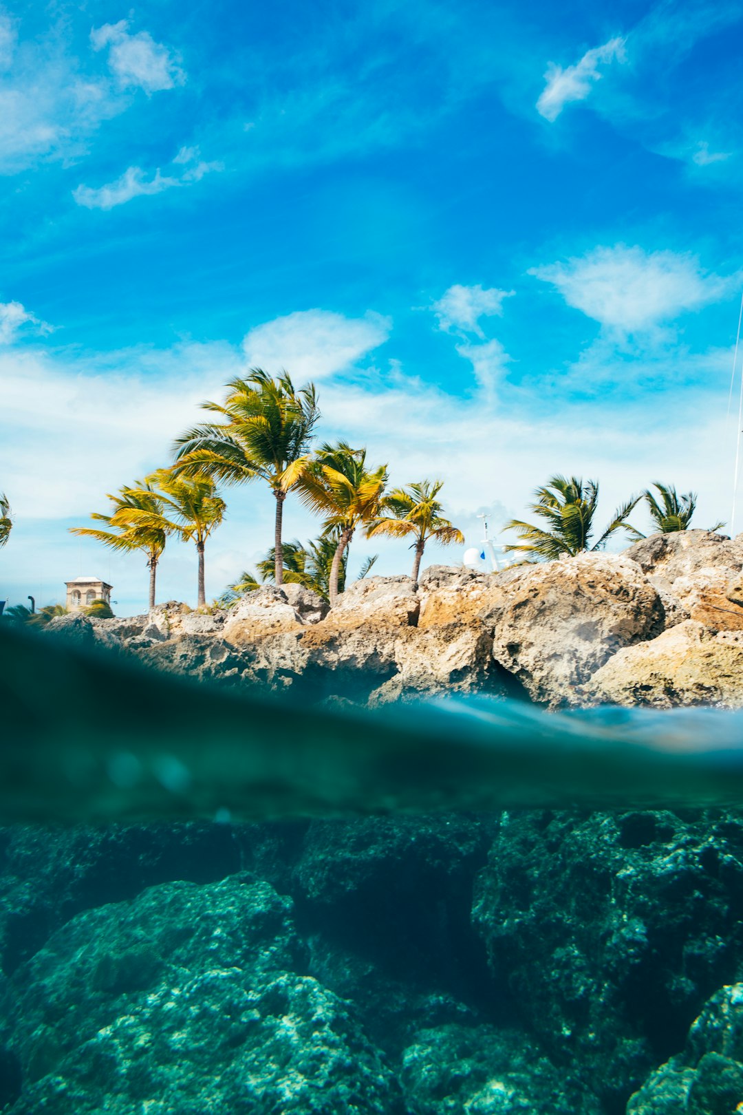 Barbados: The Caribbean Island (image credits: unsplash)
