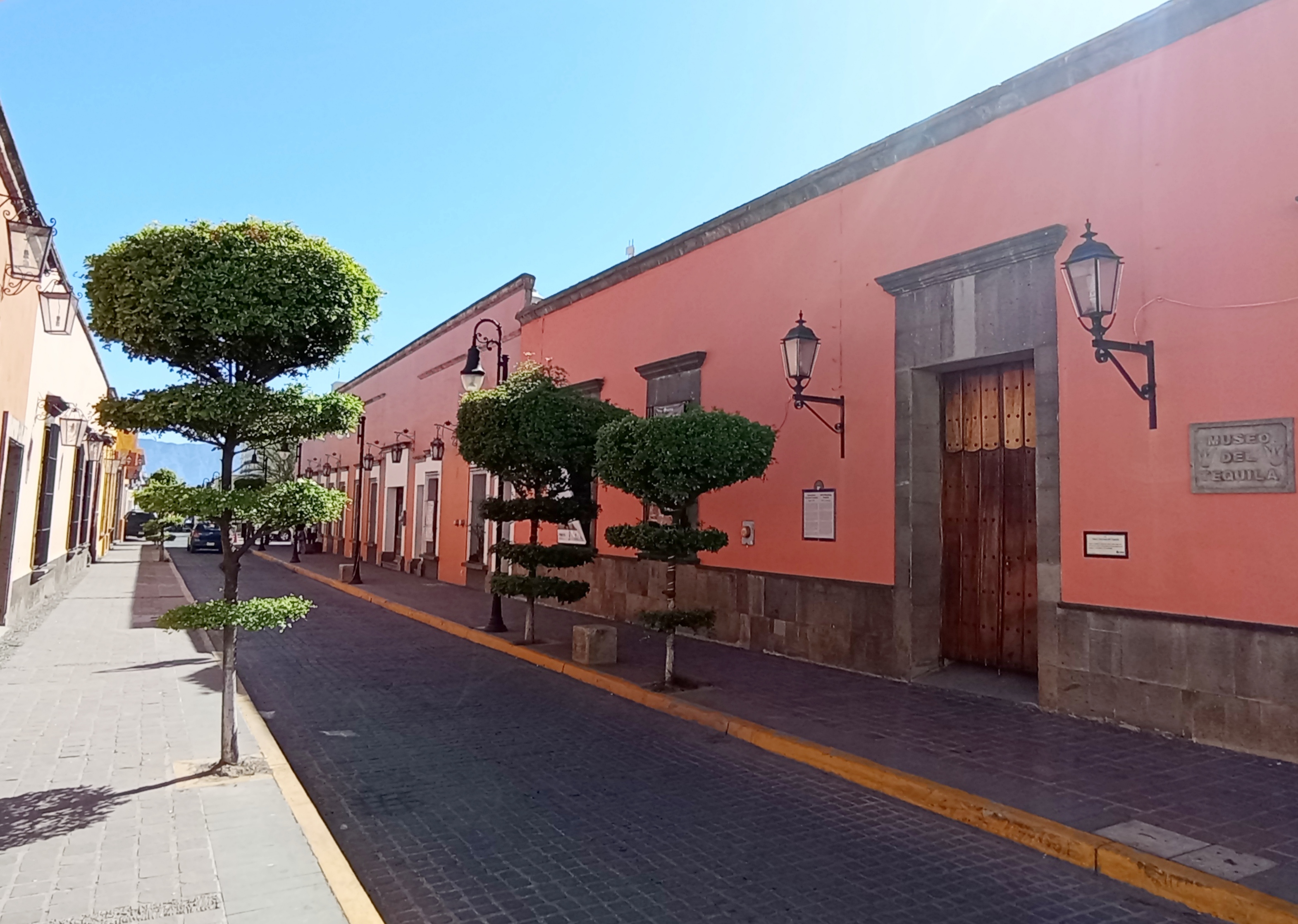 Tequila (image credits: wikimedia)