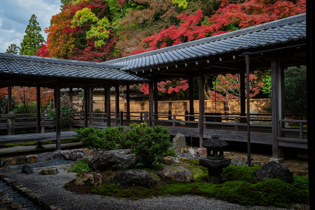 Japan: Order and Harmony Above All (image credits: unsplash)