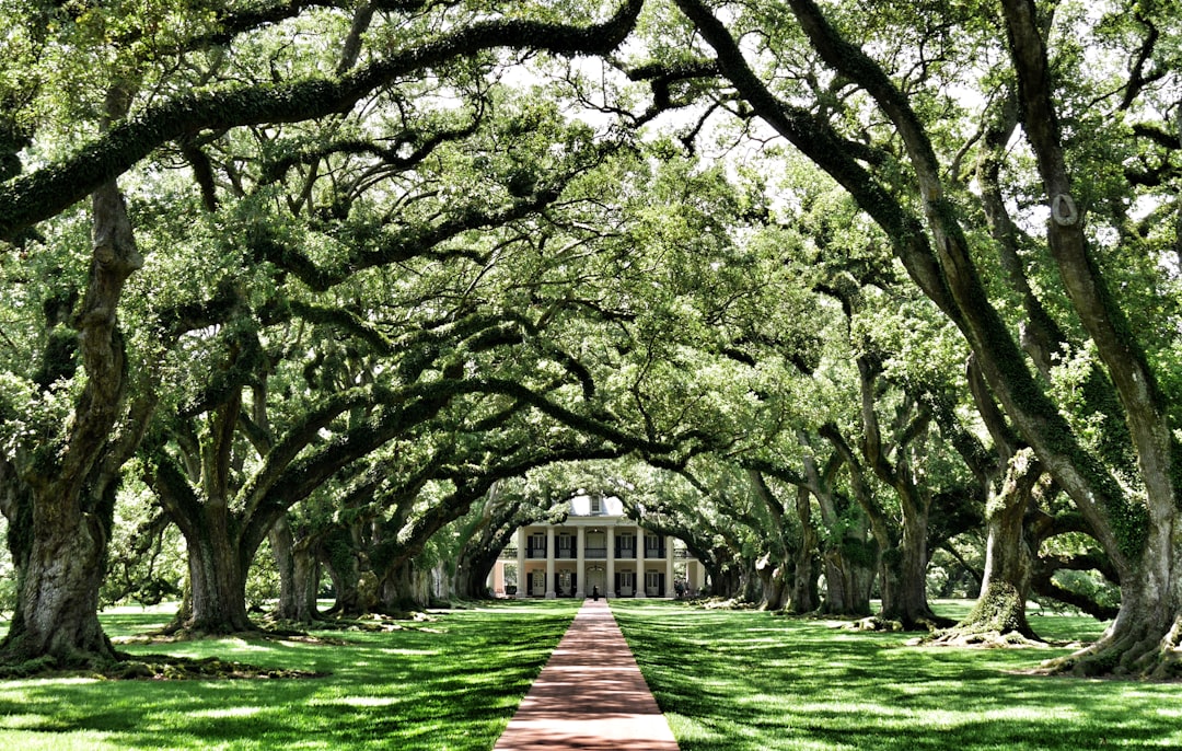 The Myrtles Plantation, Louisiana, USA (image credits: unsplash)
