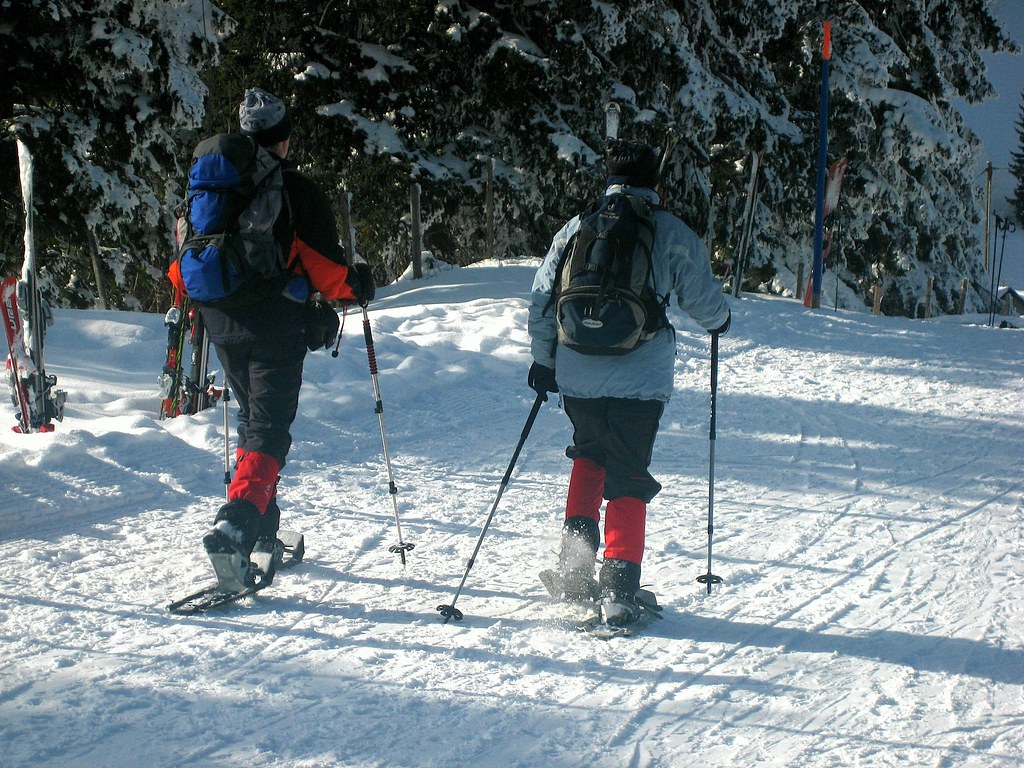 Switzerland: Alpine Air and Affluence (image credits: flickr)