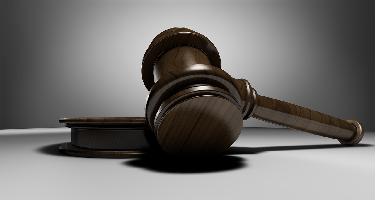 The Role of Policy and Regulation (image credits: pixabay)