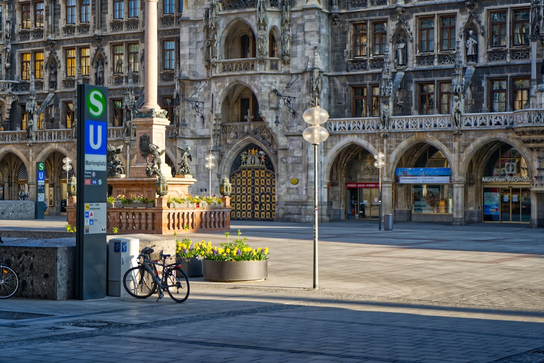17. Vienna Arts and Culture Tours with Complex Fee Structures (image credits: unsplash)
