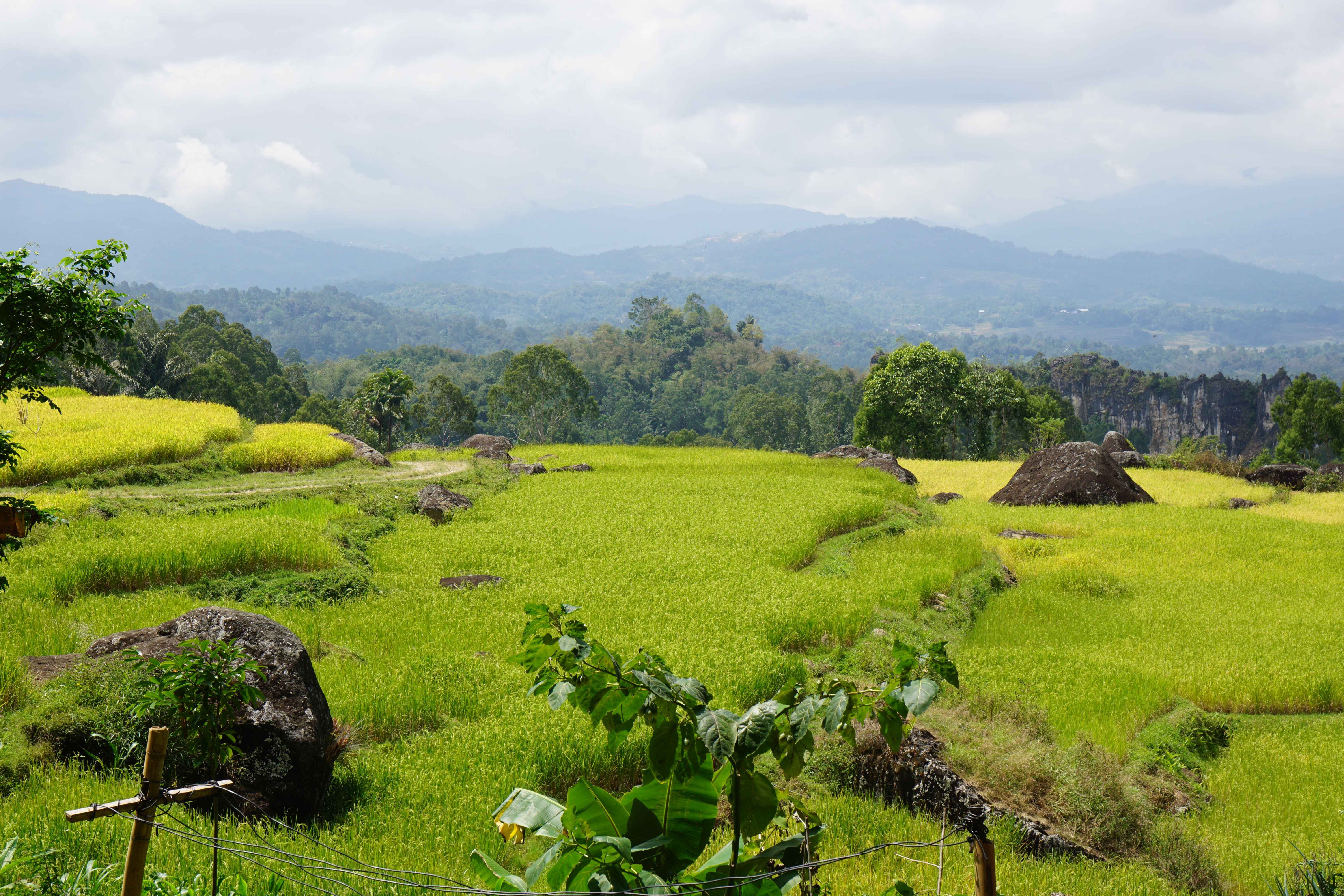 Indonesia: The Diverse Archipelago (image credits: wikimedia)