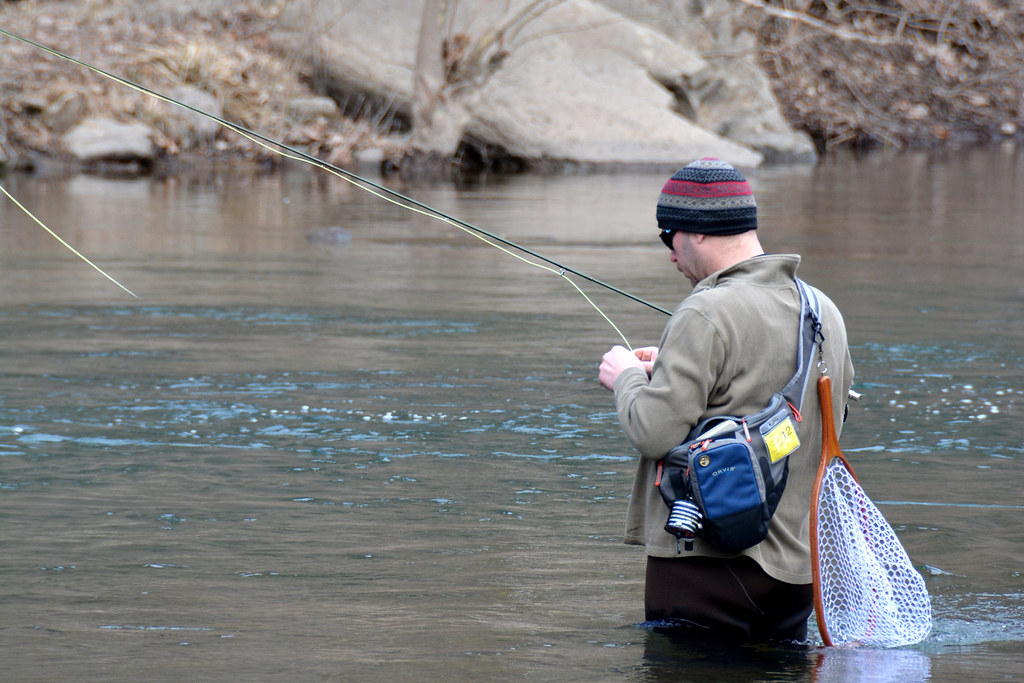 Unauthorized Fishing and Marine Life Disturbance (image credits: flickr)