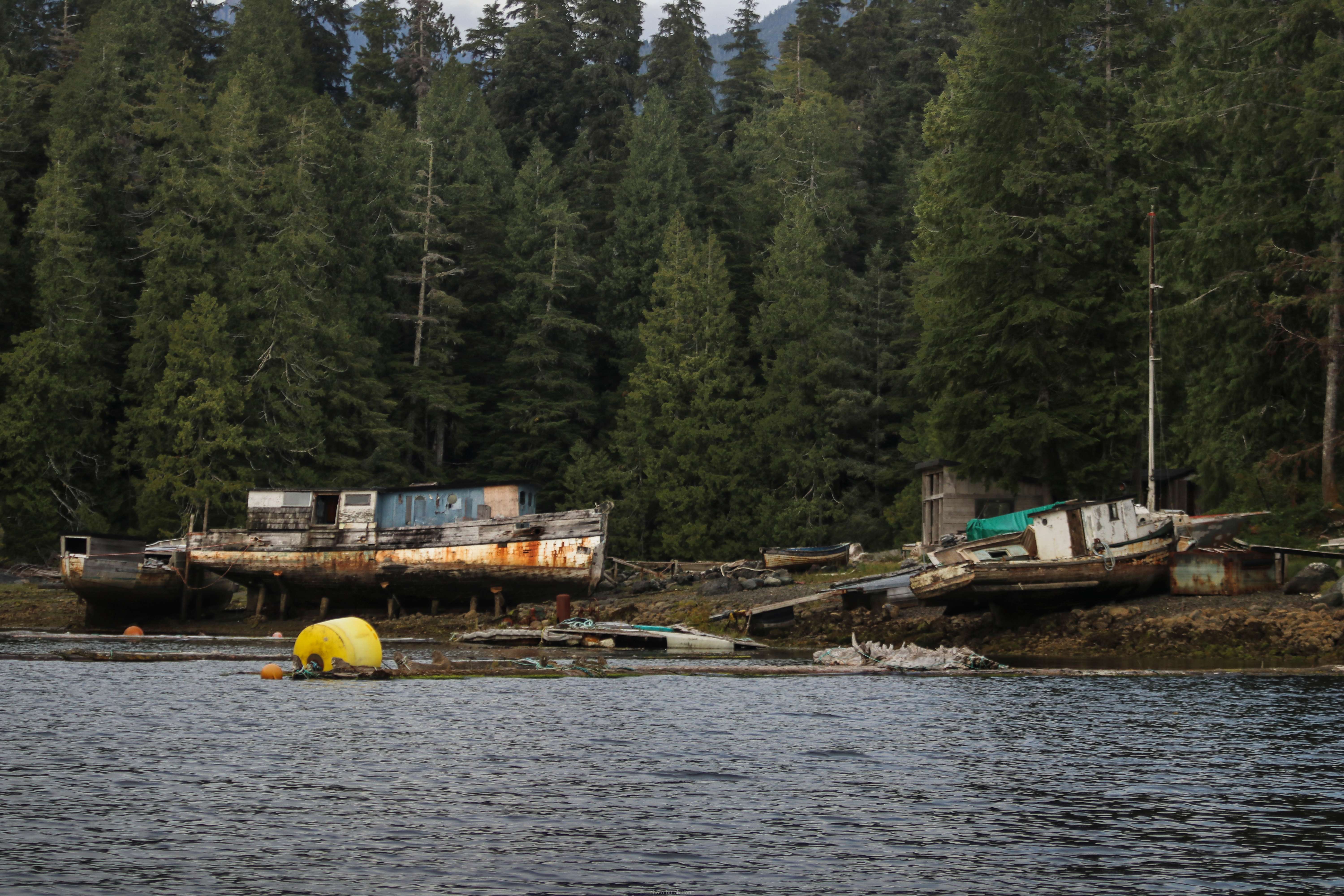 Tofino Surf Town Transformed (image credits: wikimedia)
