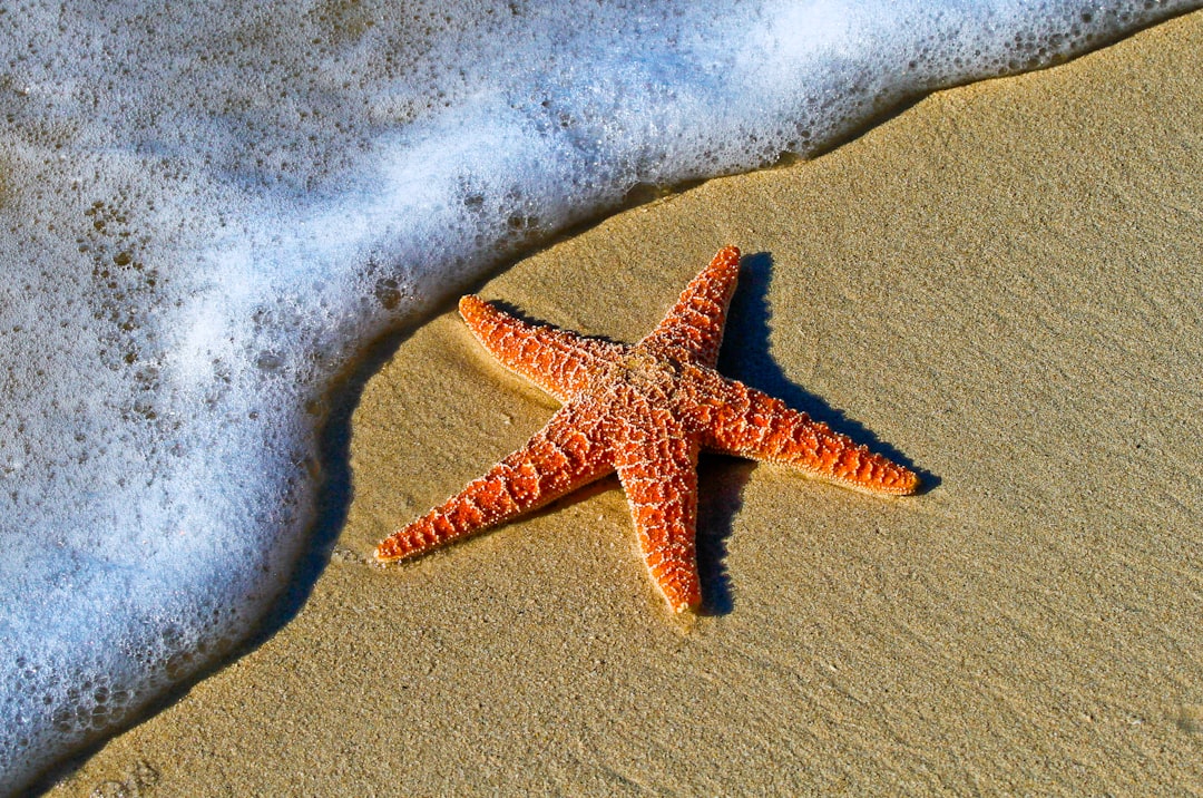 Key West, Florida (image credits: unsplash)