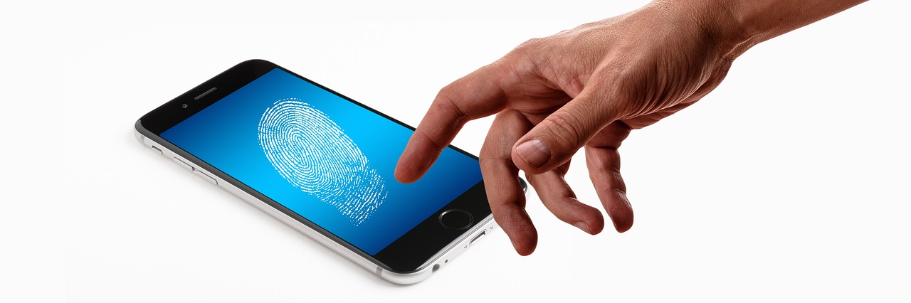 Biometric Data Collection: Technology Meets Privacy Concerns (image credits: pixabay)