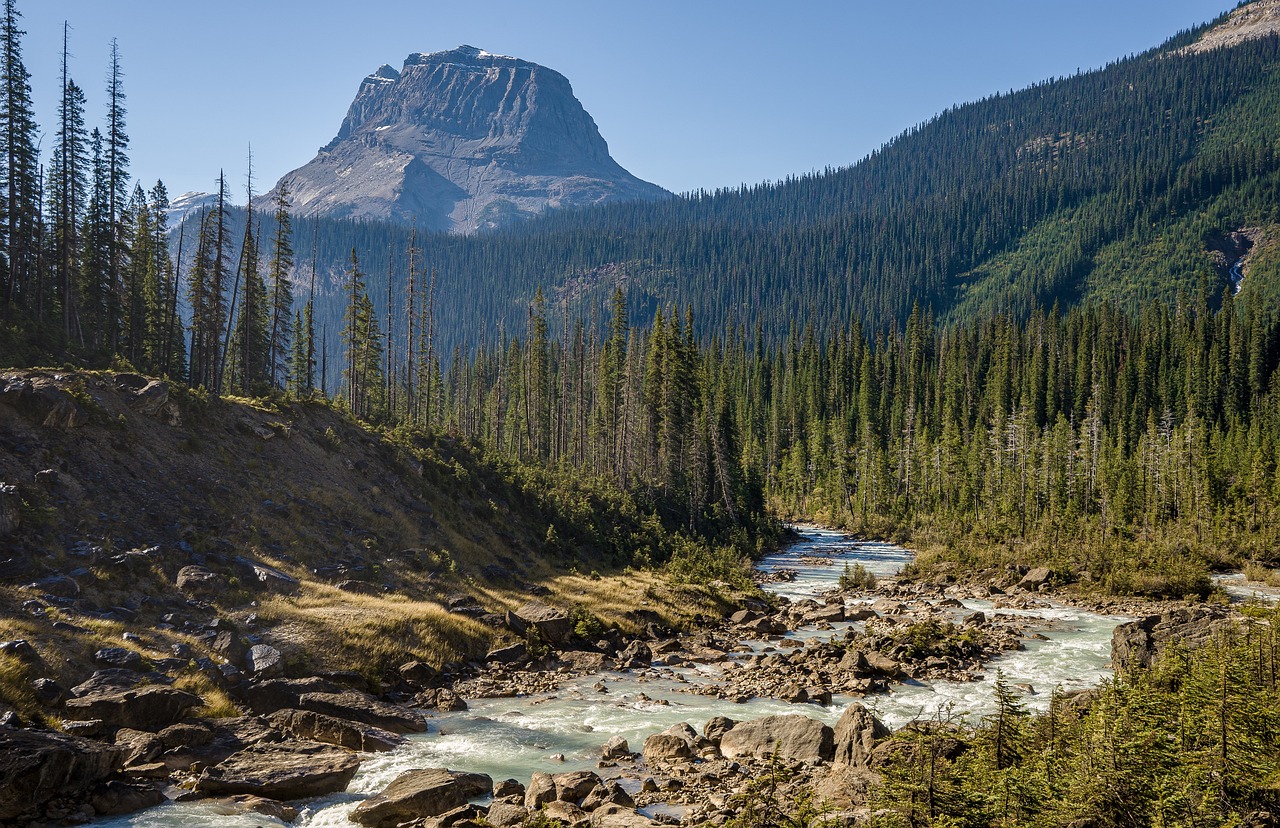 Canada Wilderness and Freshness Combined (image credits: pixabay)