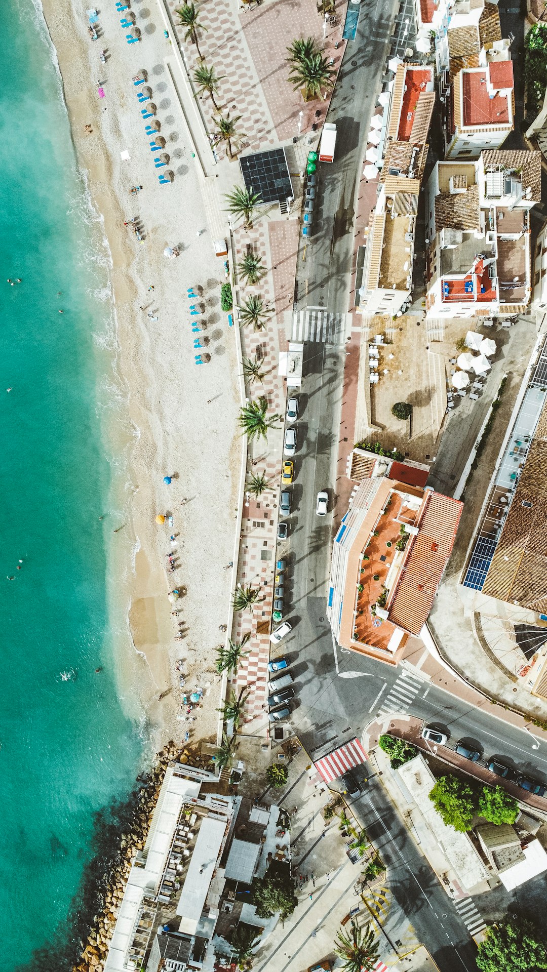Environmental Concerns Take Center Stage (image credits: unsplash)