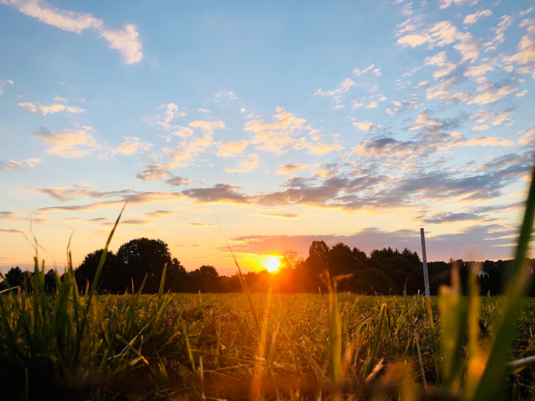 22. Use morning micro‑moments of mindfulness (image credits: unsplash)