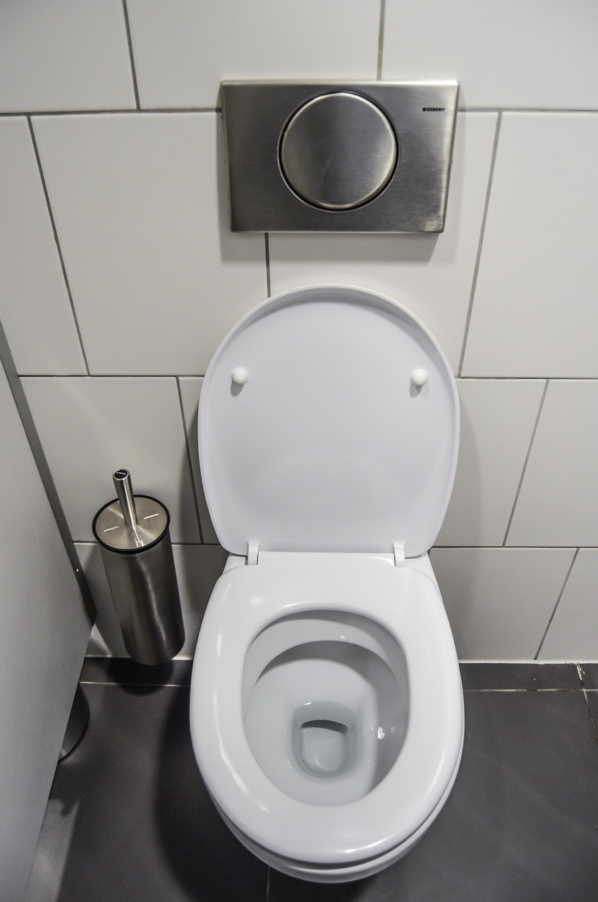 Toilet Bowl Water Line (image credits: pixabay)
