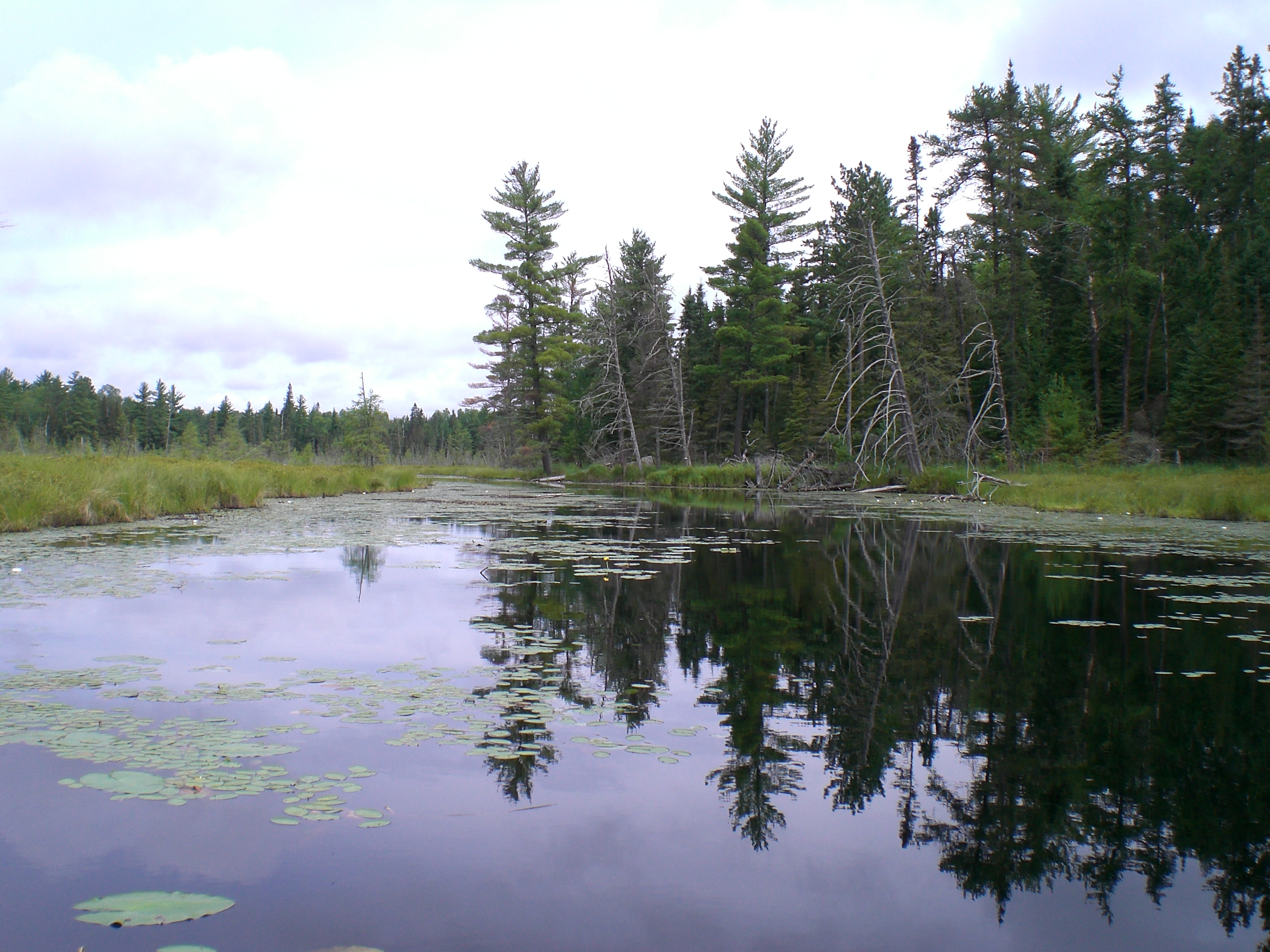 Boundary Waters Canoe Area Wilderness, Minnesota (image credits: wikimedia)