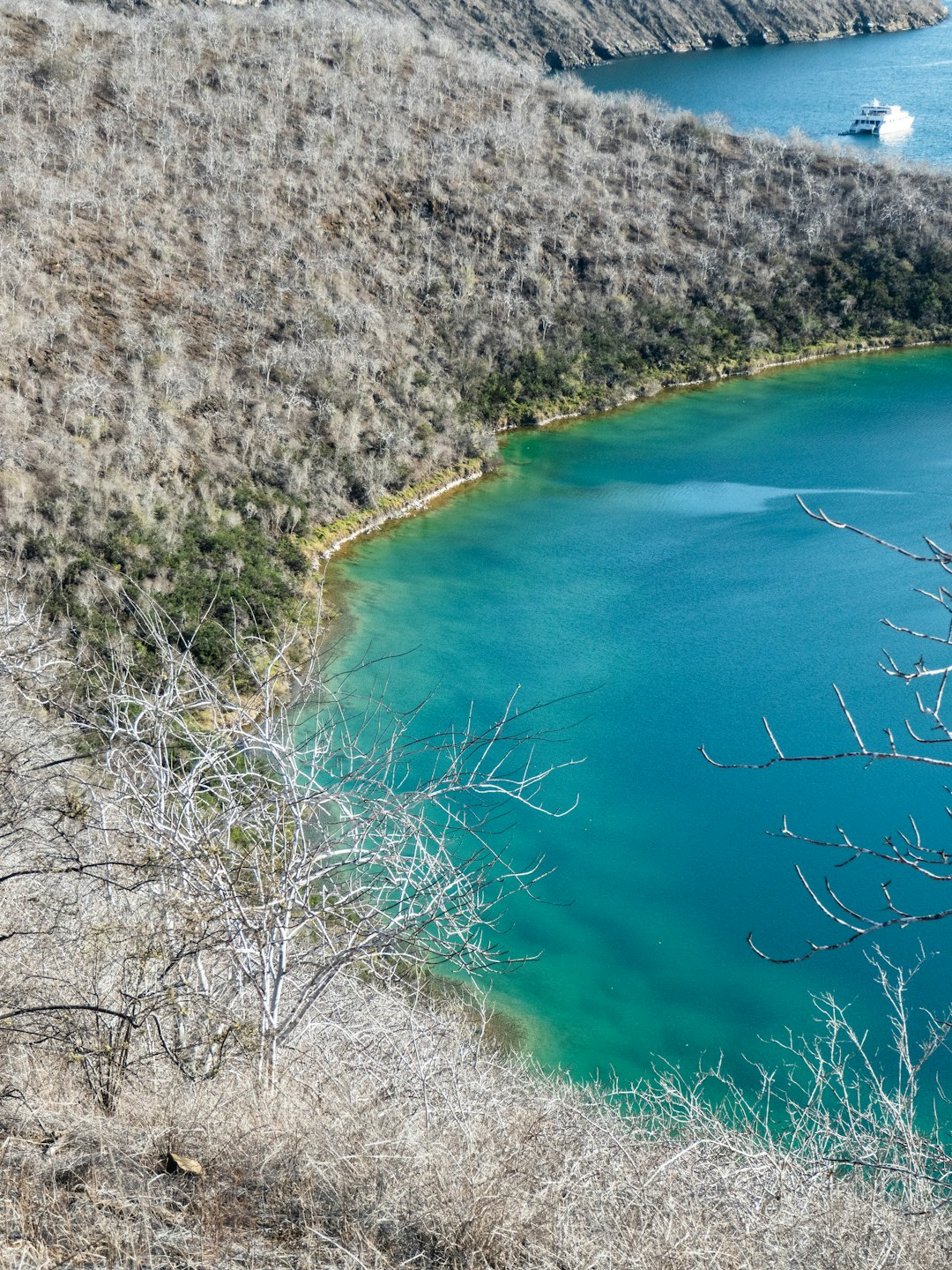Galápagos Islands Ecuador Enforces Strict Protection (image credits: unsplash)