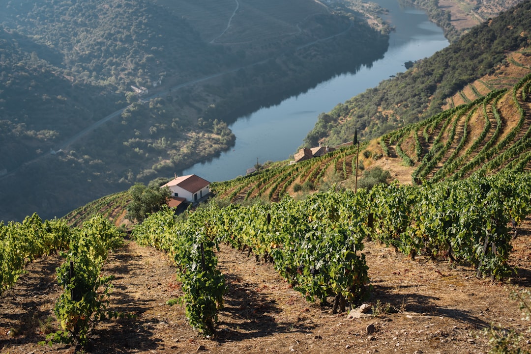 Portugal: A Slow Travel Paradise (image credits: unsplash)