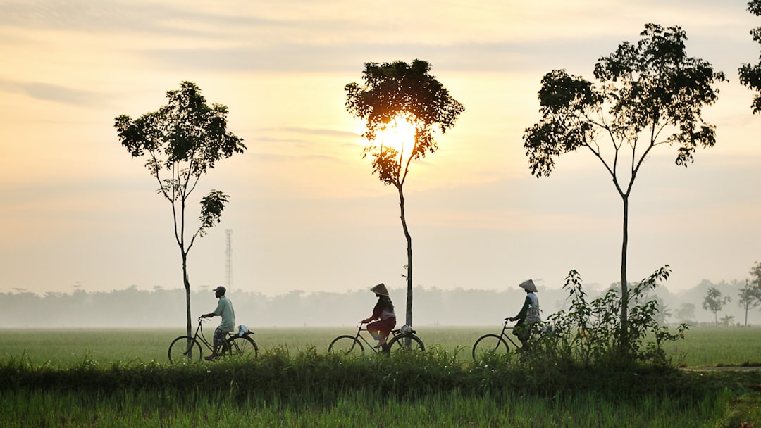 2. Indonesia: A Seismic Hotspot (image credits: unsplash)