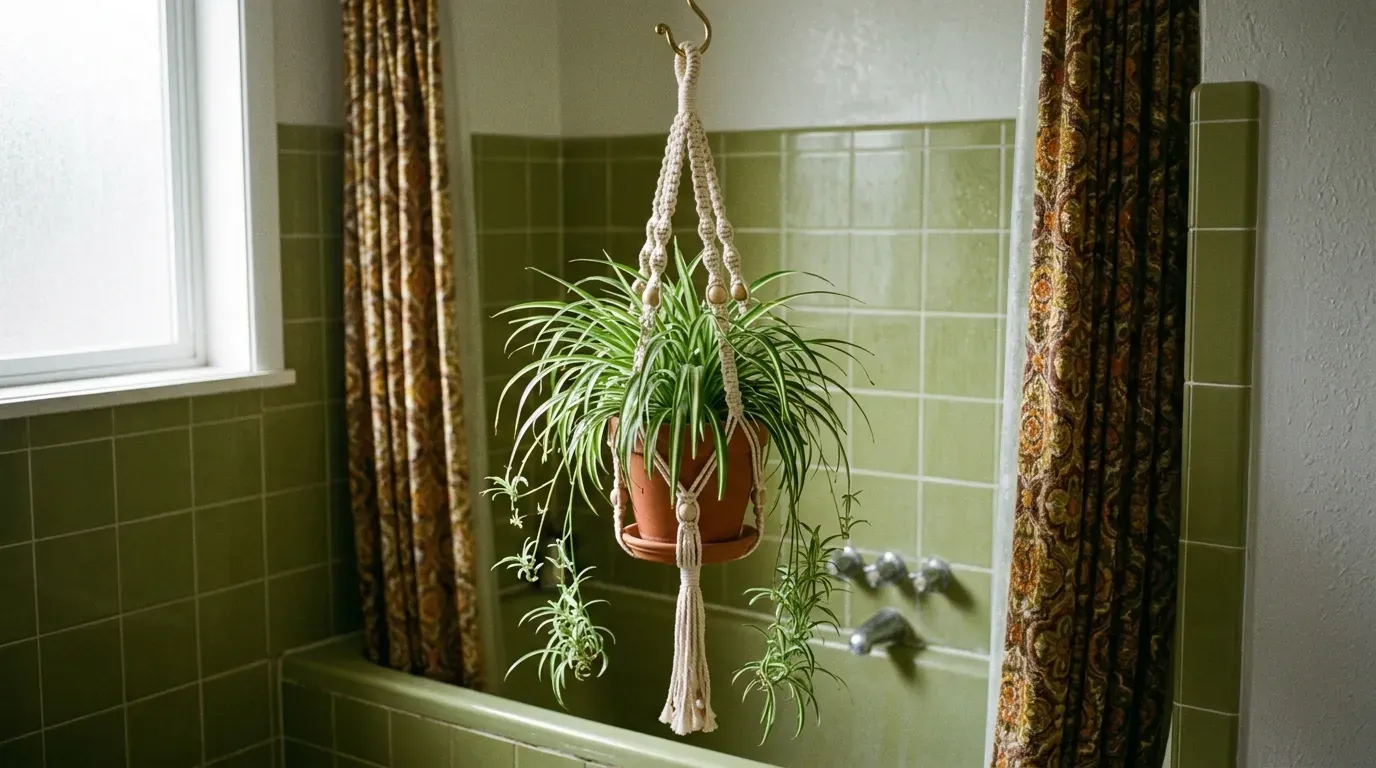 #15 &ndash; Macram&eacute; Plant Hangers (With a Spider Plant, Always) (Image Credits: AI Generated)