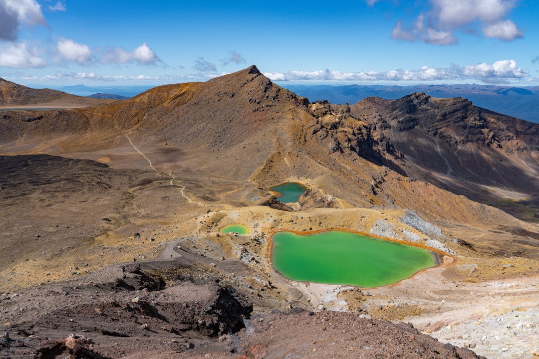 New Zealand: Focusing on Quality Over Quantity (image credits: unsplash)