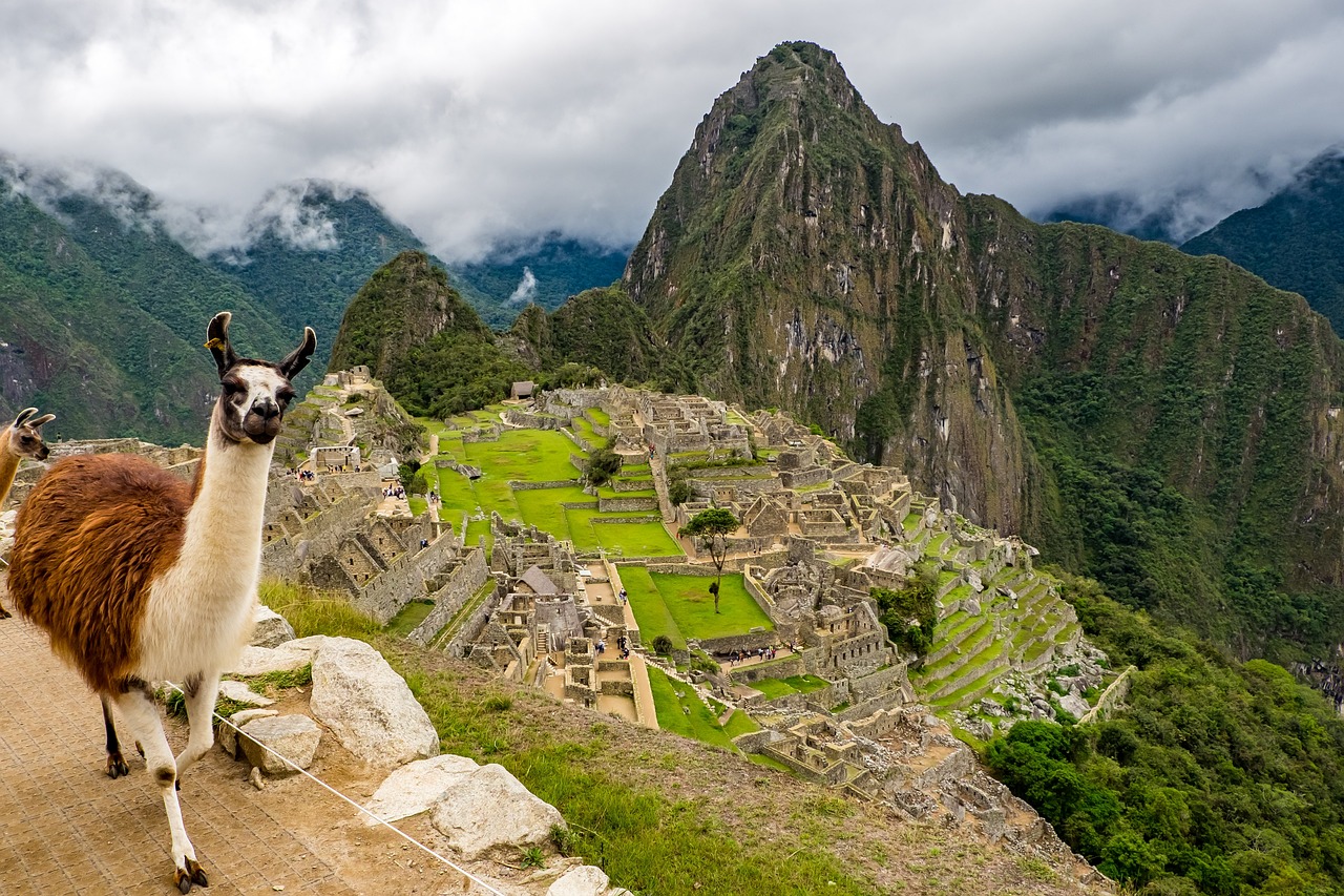 The Ruins of Machu Picchu (image credits: pixabay)
