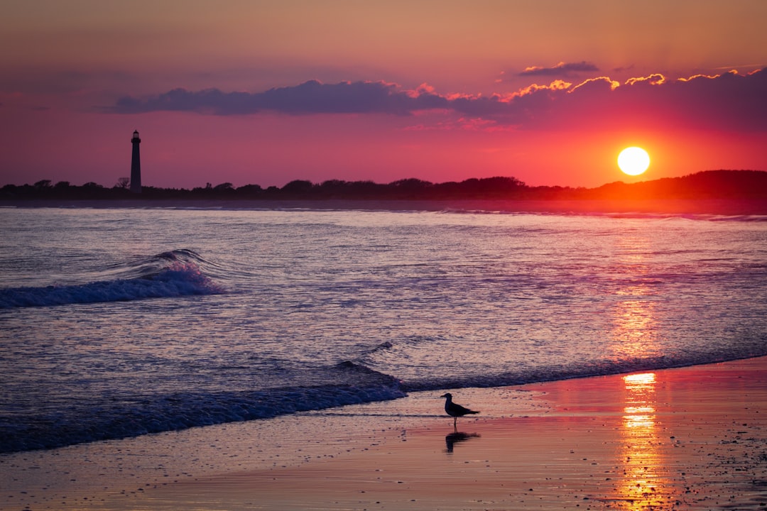 Cape May, New Jersey (image credits: unsplash)