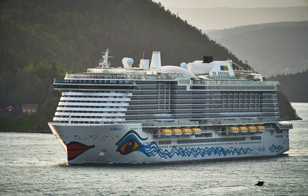 14. Fake Cruise Deal Catastrophes (image credits: unsplash)