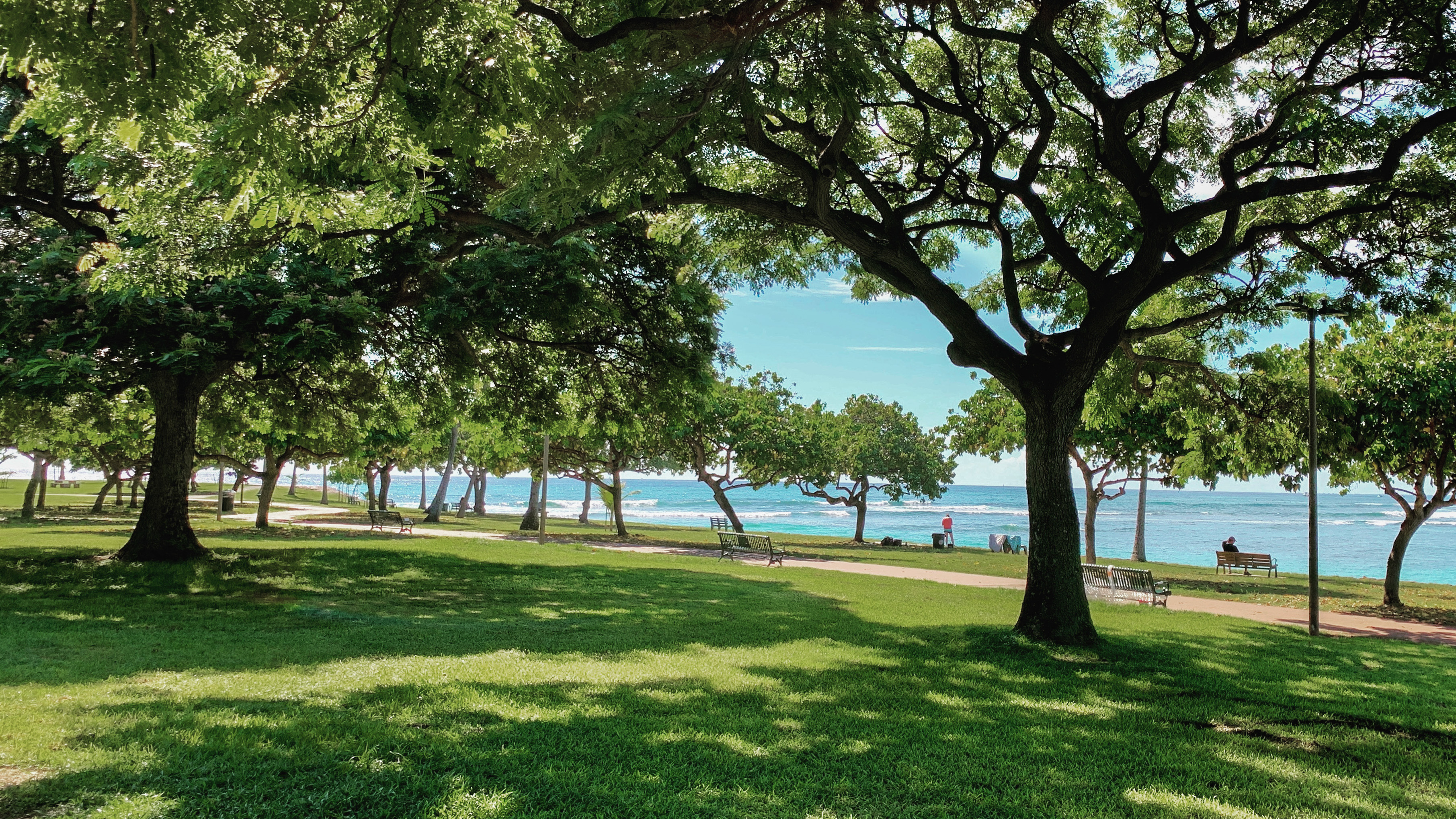 Honolulu Hawaii Island Happiness (image credits: wikimedia)