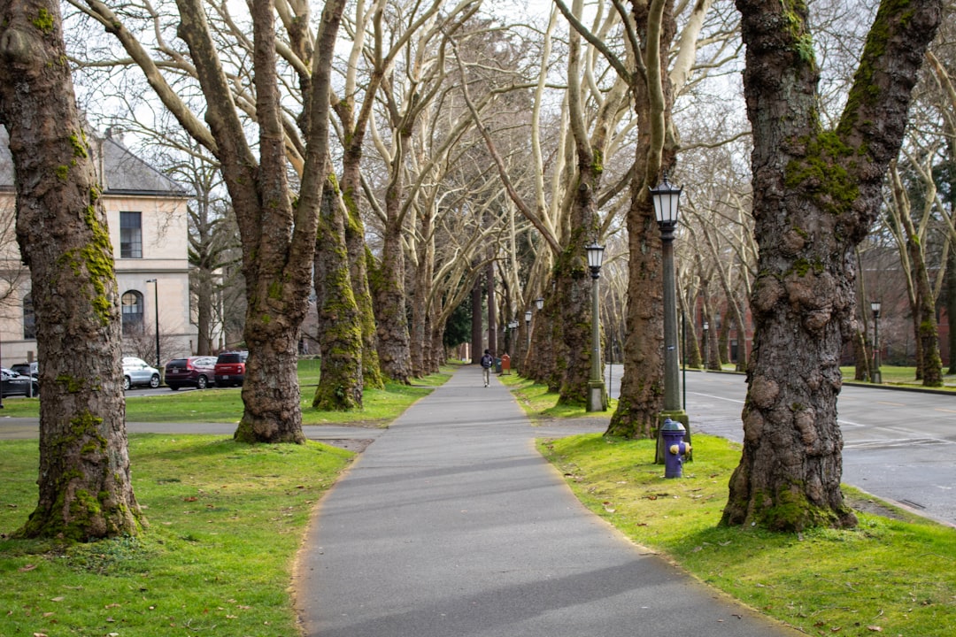 Seattle, Washington (image credits: unsplash)