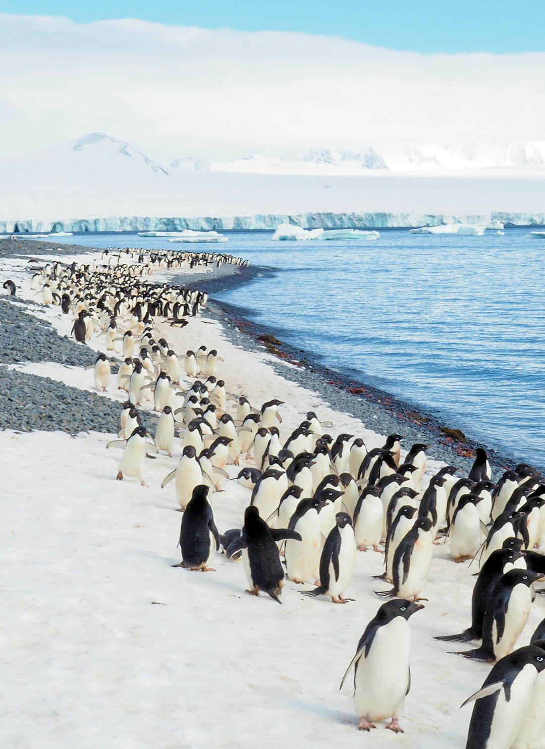 Antarctica: A Continent at Risk (image credits: unsplash)