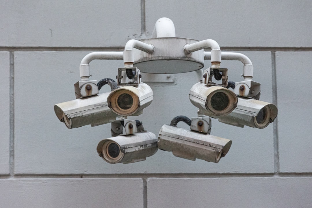United Arab Emirates' Smart Surveillance State (image credits: unsplash)